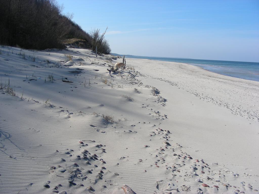 Pod Kotem Rowy (Pomerania) Exterior foto